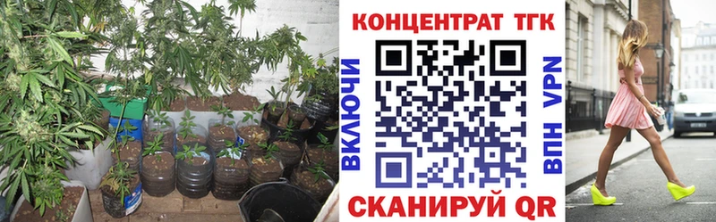 ТГК жижа  Луховицы 