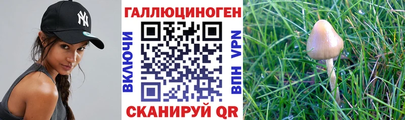 Галлюциногенные грибы GOLDEN TEACHER Луховицы